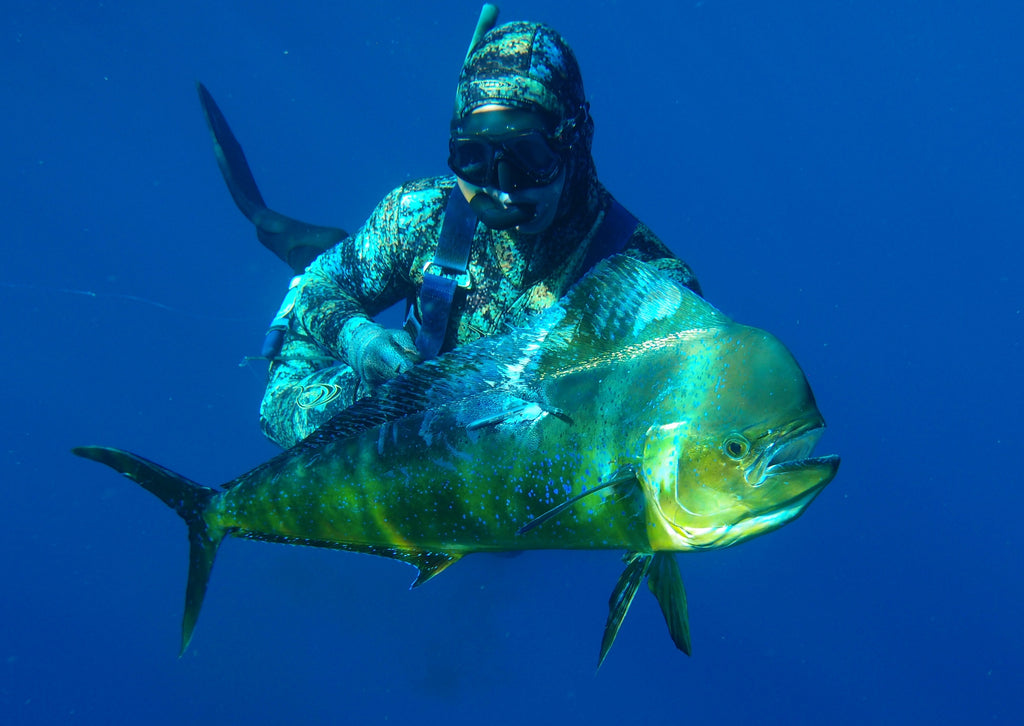 Just Starting Spearfishing? Comprehensive Guide Right Here!